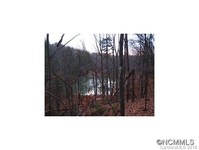 Winter pond view