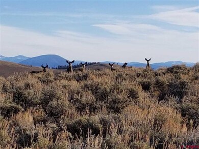 0 Ponderosa Ln, Gunnison, CO 81230 - photo 7