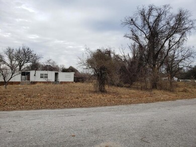 146 Pawnee Trail, Horseshoe Bend, TX 76087 - photo 2