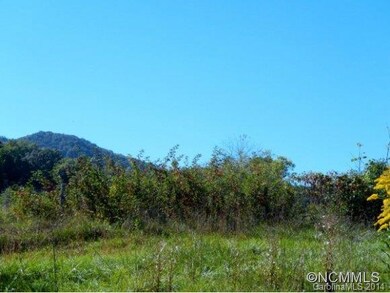 35 Jones Patton Rd, Leicester, NC 28748 - photo 3