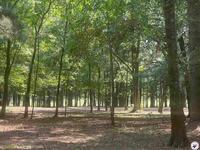 0 Cr 3201 & Cr 3203 unit 117264, Dekalb, TX 75559 - photo 3