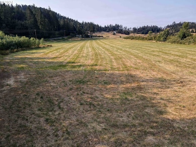 000 Territorial Hwy, Eugene, OR 97405 - photo 7