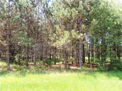 0 Old 35 unit 1531995, Webster, WI 54893 - photo 5