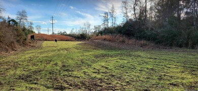 TBD-Tract 1 Gilead Rd, Clinton, LA 70722 - photo 5