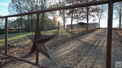 1009 County Road 4347, Bivins, TX 75555 - photo 4