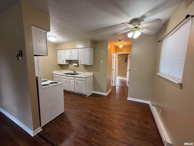 4021 S Ricketts Ave unit 8, Bartonville, IL 61607 - photo 5