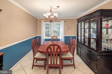 6038 Morgan Ct, Alexandria, VA 22312 - photo 7