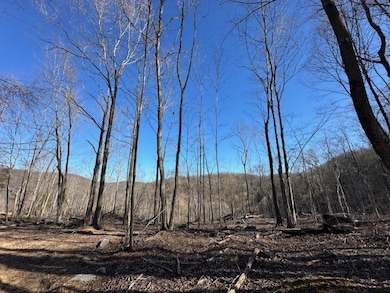 00 Garrett Ln, Allons, TN 38541 - photo 2