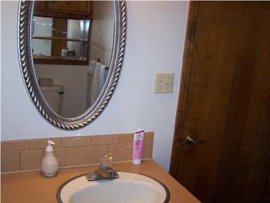 Lower level bathroom