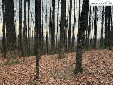 TBD Jobs Rd, Laurel Springs, NC 28644 - photo 3