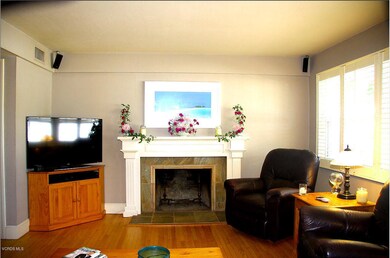 Livingroom fireplace #1