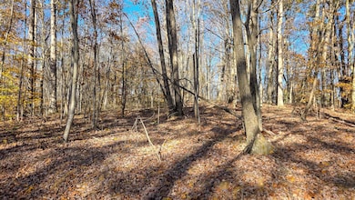 586 Nibert Rd unit (Ponds Poplar Ridge, Gallipolis, OH 45631 - photo 3