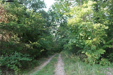 Lot 2, Block 2 Tudor Ln, Bella Vista, AR 72715 - photo 2
