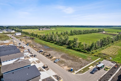 Tree Line Lots Drone 2.jpg