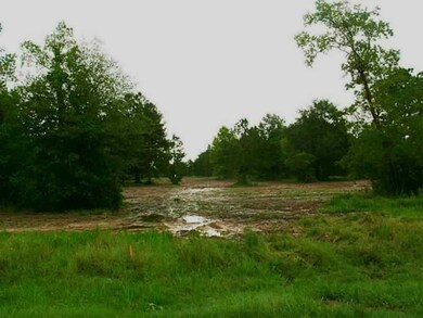 Land/Lot.