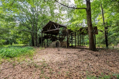 0 Loven Mill Rd, Richland, GA 31825 - photo 3