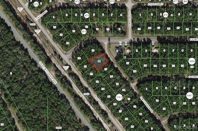 115 E McFaddin Place, Citrus Springs, FL 34434 - photo 2