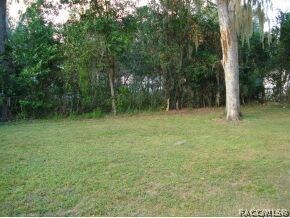 6.  Back Yard