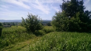 IMG_20170517_104755963