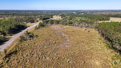 County Road 121, Jacksonville, GA 31544 - photo 5