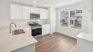 17313 Ulster Dr, Tinley Park, IL 60477 - photo 3