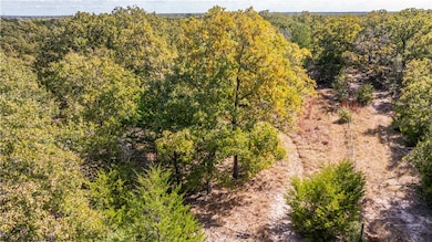 Aerial view of a heavily wooded area