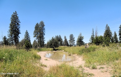 one pond