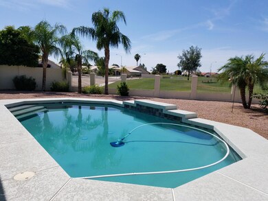 Amazing Pool
