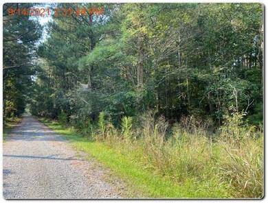 A-1/A-2 Holly Acres Ln unit A-1/2, Hacksneck, VA 23358 - photo 6