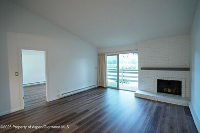 14913 Highway 82 unit 113, Carbondale, CO 81623 - photo 4