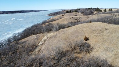TBD 300th St, Beardsley, MN 56211 - photo 6