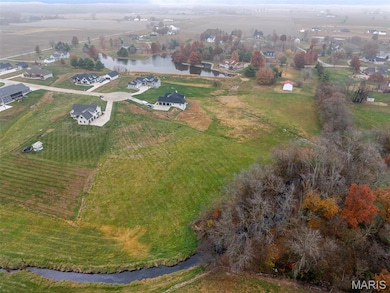 4650 Wyatt Way, Aviston, IL 62293 - photo 7