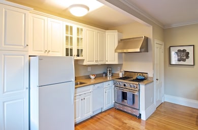 336 Tappan St unit 2, Brookline, MA 02445 - photo 5