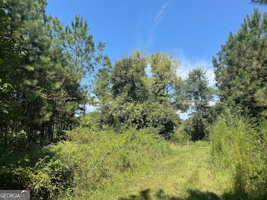 001 Cleghorn Dr, Tallassee, AL 36078 - photo 7