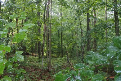Lot 45 N Shady Lane Loop, Clarkrange, TN 38553 - photo 2