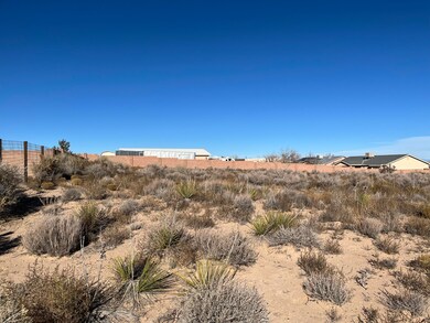 513 8th St NE, Albuquerque, NM 87124 - photo 5