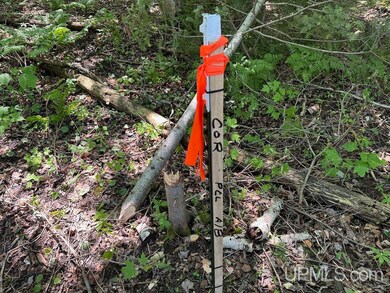 Parcel A Webb Rd, Burt Township, MI 49839 - photo 5