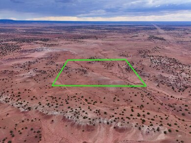 Tbd N5333, Concho, AZ 85924 - photo 5