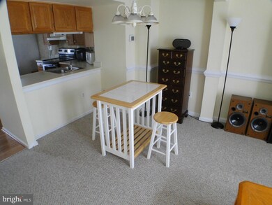 5946 Rowanberry Dr, Elkridge, MD 21075 - photo 3