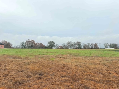 000 Cedar Ct, Searcy, AR 72143 - photo 4