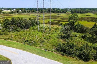 Lot 1B Dufour Rd, Saint Marys, GA 31558 - photo 4