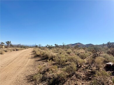 1.95 Ac 20th St, Dolan Springs, AZ 86441 - photo 4