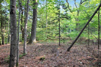 218-039 New Hampshire Route 175, Thornton, NH 03285 - photo 5