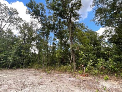 0 280th St unit GC508008, Branford, FL 32008 - photo 4