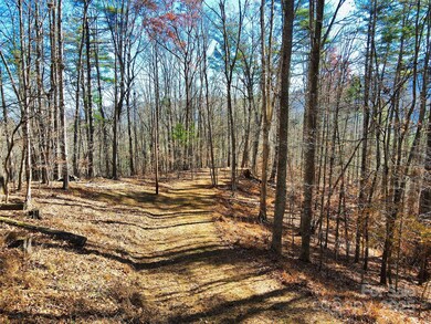 TBD Rockinghorse Trail unit Tract 2, Burnsville, NC 28714 - photo 6