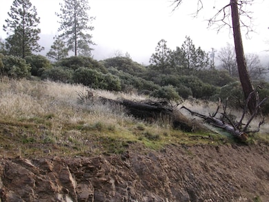 XXX Don St, Fort Jones, CA 96032 - photo 4