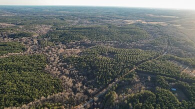 0 Jefferson Davis Rd unit 25510658, Mountville, SC 29370 - photo 7