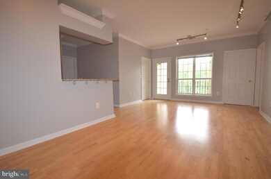 4551 Strutfield Ln unit 4328, Alexandria, VA 22311 - photo 5