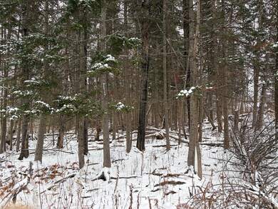 321 Main St, Jackman, ME 04945 - photo 5