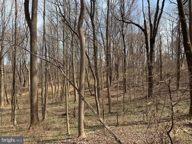 0 FT Valley Rd. Francis Thorton Valley Rd, Sperryville, VA - photo 5